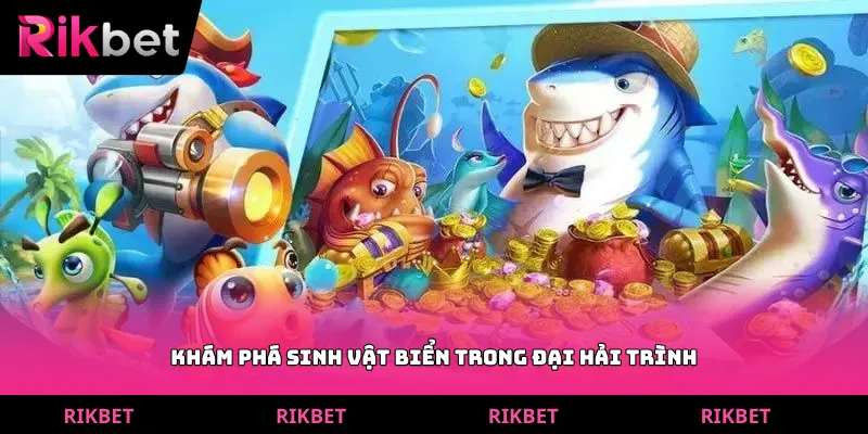 Khám phá sinh vật biển trong đại hải trình
