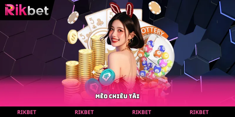 mèo chiêu tài