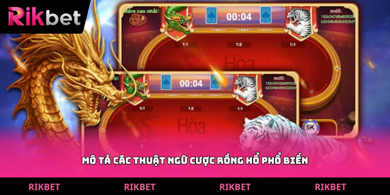 Mô tả các thuật ngữ cược rồng hổ phổ biến